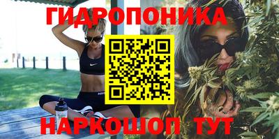 МДПВ Рыбинск