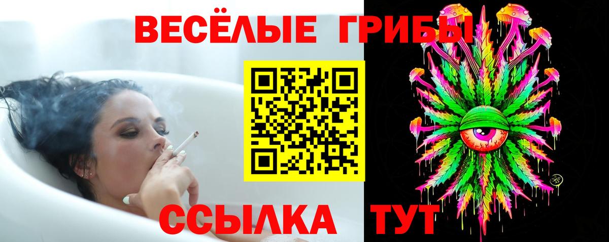 Галлюциногенные грибы мицелий  Вход с VPN  Новочеркасск  Псилоцибиновые грибы мухоморы 
